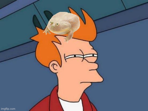 FROG | image tagged in memes,futurama fry | made w/ Imgflip meme maker
