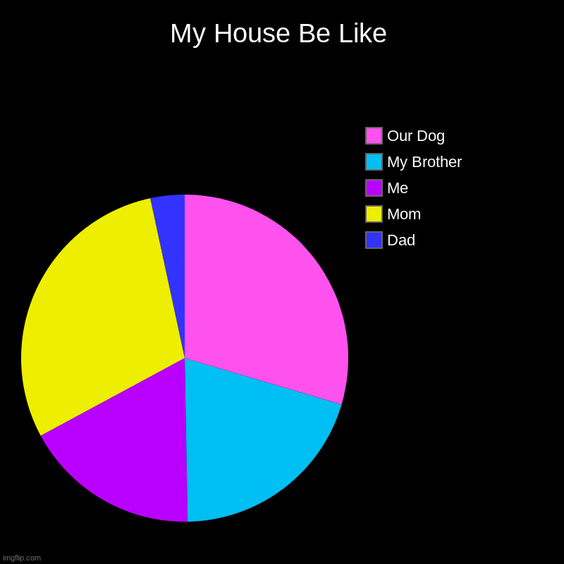 My House Be Like | Dad, Mom, Me, My Brother, Our Dog | image tagged in charts,pie charts | made w/ Imgflip chart maker
