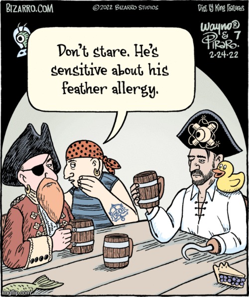 RUBBER DUCK PIRATE | image tagged in pirate,rubber ducks,pirates,comics/cartoons | made w/ Imgflip meme maker