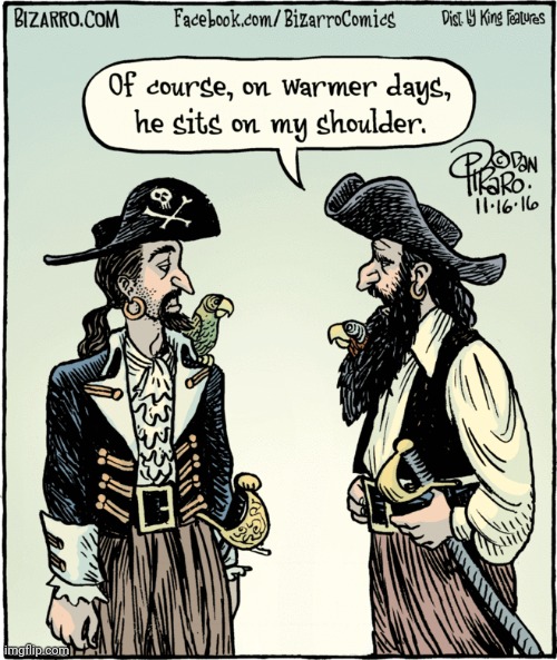 BETTER GROW THAT BEARD OUT | image tagged in pirates,pirate,comics/cartoons | made w/ Imgflip meme maker