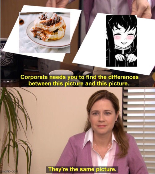 "cinnamon roll" | image tagged in memes,they're the same picture | made w/ Imgflip meme maker