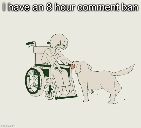 Avogado6 | I have an 8 hour comment ban | image tagged in avogado6 | made w/ Imgflip meme maker