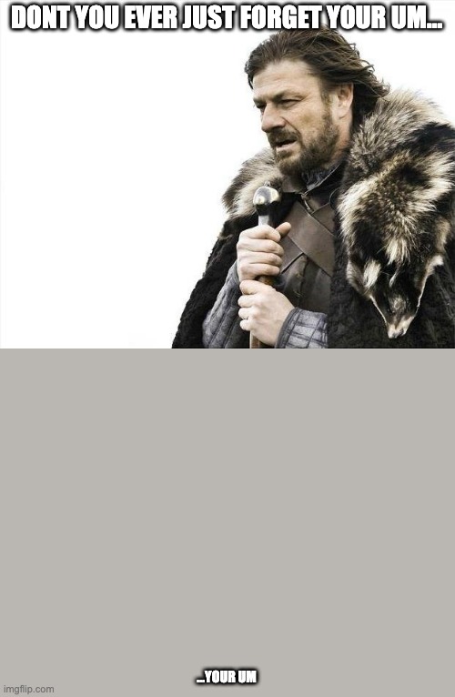Brace Yourselves X is Coming | DONT YOU EVER JUST FORGET YOUR UM…; …YOUR UM | image tagged in memes,brace yourselves x is coming | made w/ Imgflip meme maker