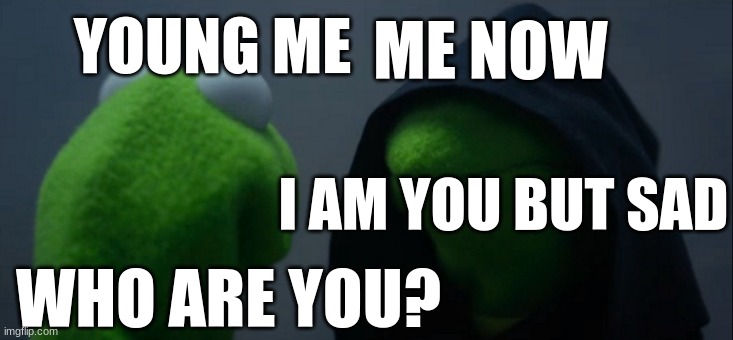 me vs me now | ME NOW; YOUNG ME; I AM YOU BUT SAD; WHO ARE YOU? | image tagged in memes,evil kermit | made w/ Imgflip meme maker