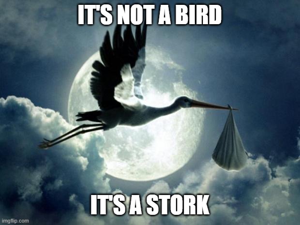 Stork | IT'S NOT A BIRD; IT'S A STORK | image tagged in stork | made w/ Imgflip meme maker