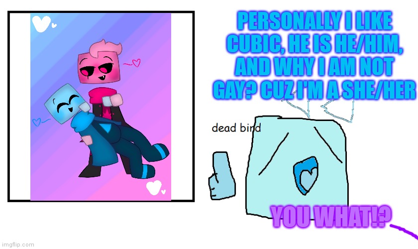 Ded birb | PERSONALLY I LIKE CUBIC, HE IS HE/HIM, AND WHY I AM NOT GAY? CUZ I'M A SHE/HER; YOU WHAT!? | image tagged in dead bird,memes,jsab | made w/ Imgflip meme maker