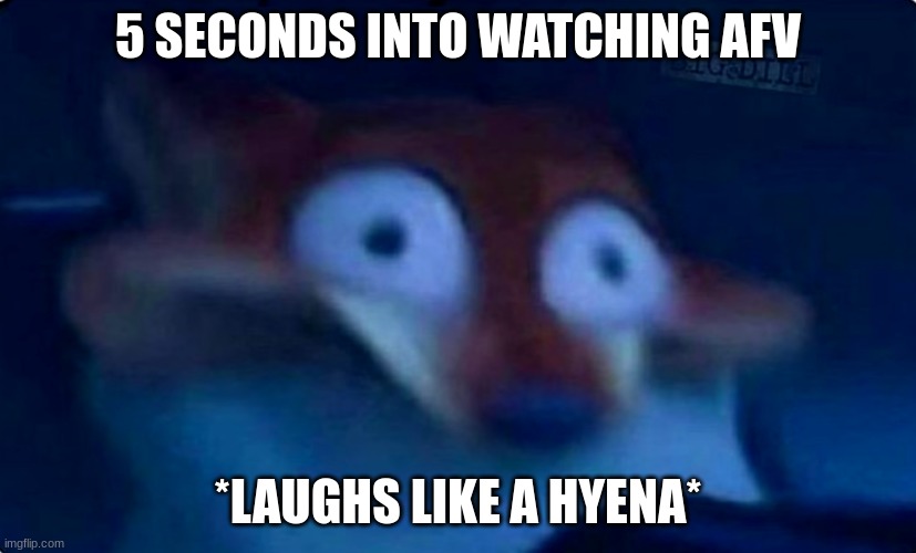 Nick Wilde | 5 SECONDS INTO WATCHING AFV; *LAUGHS LIKE A HYENA* | image tagged in nick wilde | made w/ Imgflip meme maker