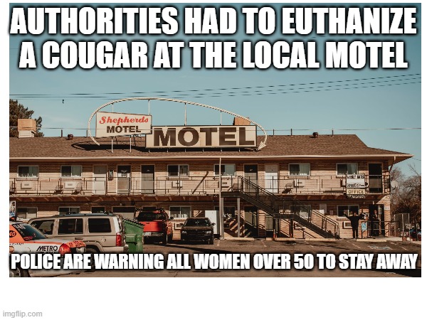 Local motel | AUTHORITIES HAD TO EUTHANIZE   A COUGAR AT THE LOCAL MOTEL; POLICE ARE WARNING ALL WOMEN OVER 50 TO STAY AWAY | image tagged in memes,cougar,dumb jokes | made w/ Imgflip meme maker