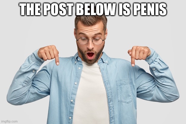 THE POST BELOW IS PENIS | made w/ Imgflip meme maker