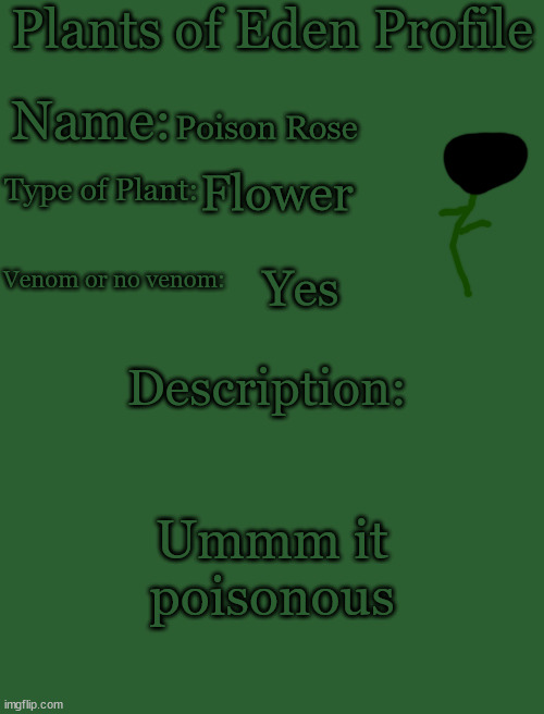 Plants of Eden Profile | Poison Rose; Flower; Yes; Ummm it poisonous | image tagged in plants of eden profile | made w/ Imgflip meme maker