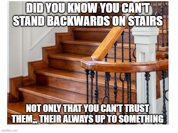 Stairs | DID YOU KNOW YOU CAN'T STAND BACKWARDS ON STAIRS; NOT ONLY THAT YOU CAN'T TRUST THEM,,, THEIR ALWAYS UP TO SOMETHING | image tagged in memes,dumb joke | made w/ Imgflip meme maker