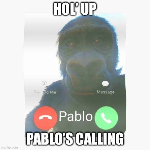 Pablo’s calling | HOL’ UP; PABLO’S CALLING | image tagged in monkey | made w/ Imgflip meme maker
