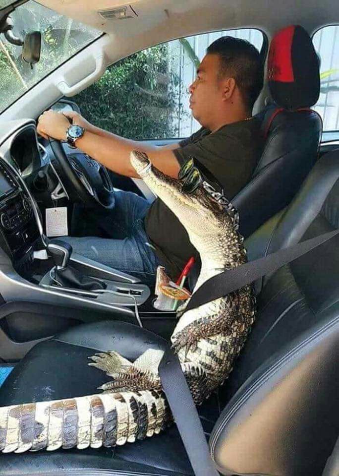 Florida Man With Pet Gator Blank Meme Template