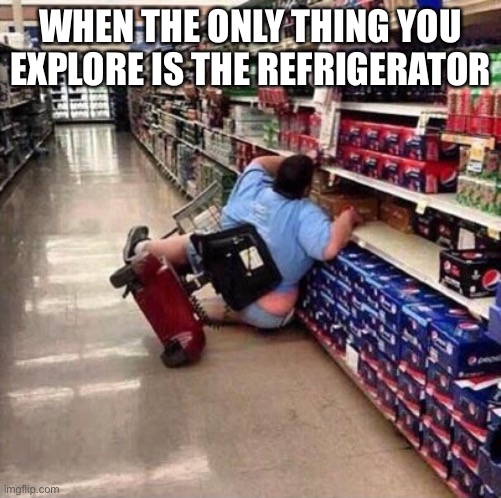 Explora | WHEN THE ONLY THING YOU EXPLORE IS THE REFRIGORATOR | image tagged in fat person falling over | made w/ Imgflip meme maker