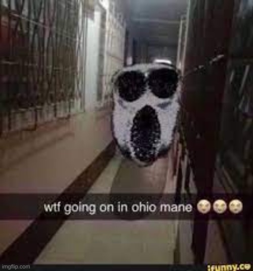 Ambush Visits Ohio | image tagged in doors,only in ohio | made w/ Imgflip meme maker
