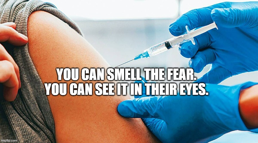 COVID vaccination | YOU CAN SMELL THE FEAR. YOU CAN SEE IT IN THEIR EYES. | image tagged in covid vaccination | made w/ Imgflip meme maker