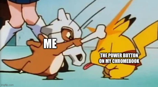true | ME; THE POWER BUTTON ON MY CHROMEBOOK | image tagged in bonk,pokemon | made w/ Imgflip meme maker
