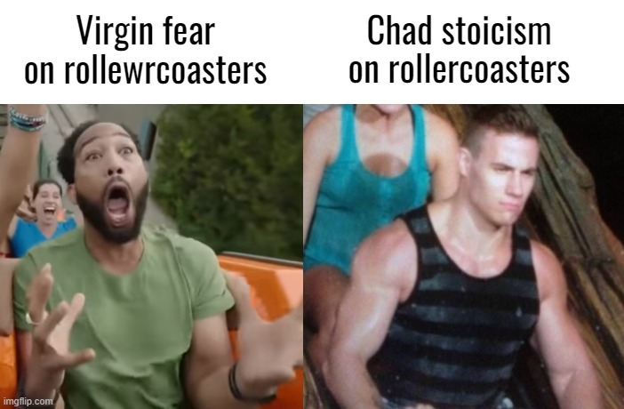 Chad stoicism on rollercoasters; Virgin fear on rollewrcoasters | image tagged in blank white template | made w/ Imgflip meme maker