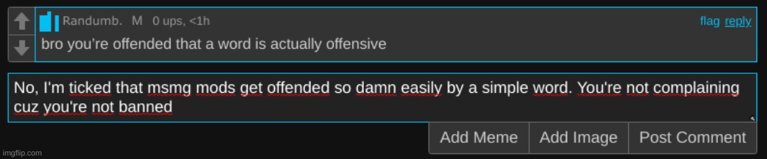 Bet that if he got banned he would be doing this too. Maybe not my extent, but he'd do it | image tagged in comment | made w/ Imgflip meme maker