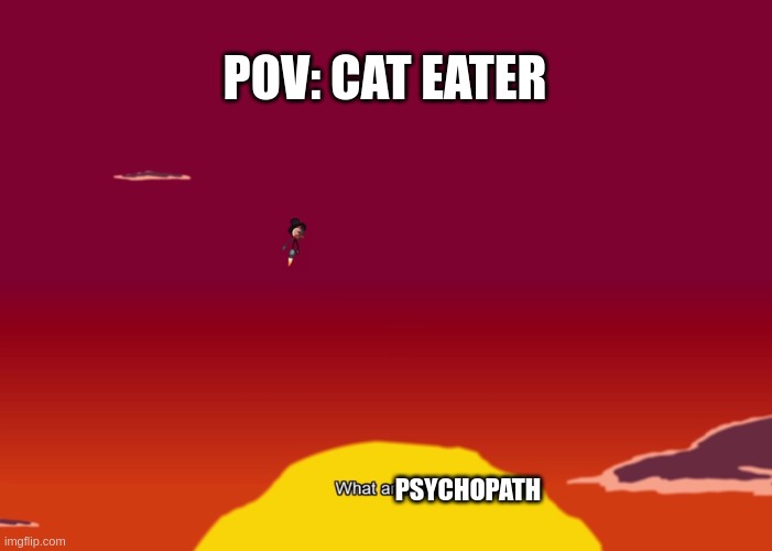 What an idiot. | POV: CAT EATER; PSYCHOPATH | image tagged in what an idiot | made w/ Imgflip meme maker