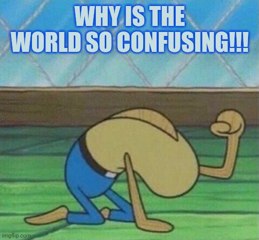 Confusing world | WHY IS THE WORLD SO CONFUSING!!! | image tagged in fred the fish hitting floor | made w/ Imgflip meme maker