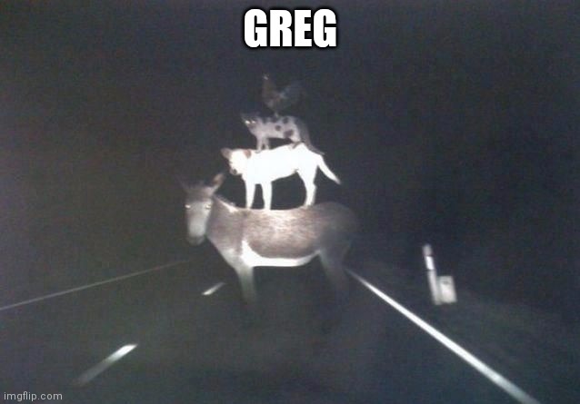 Stacked Animals | GREG | image tagged in stacked animals | made w/ Imgflip meme maker