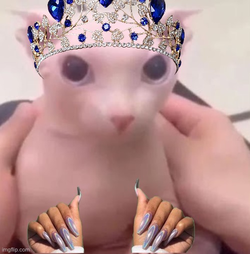 Bingus | image tagged in bingus | made w/ Imgflip meme maker