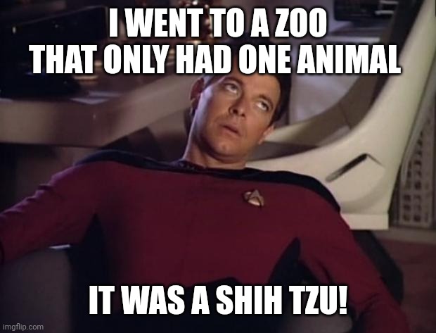 Riker eyeroll | I WENT TO A ZOO THAT ONLY HAD ONE ANIMAL; IT WAS A SHIH TZU! | image tagged in riker eyeroll | made w/ Imgflip meme maker