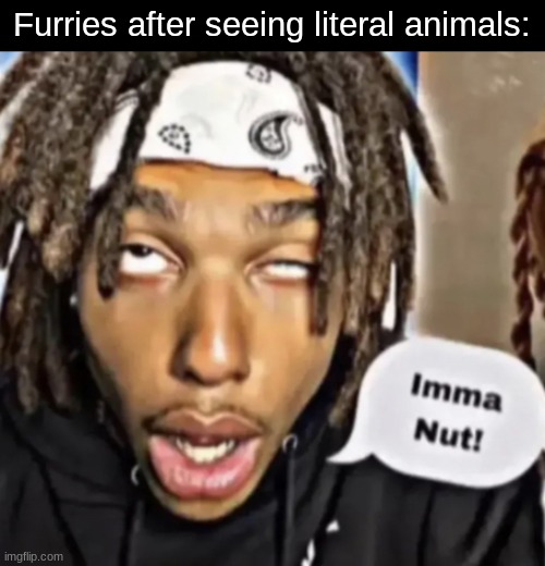 Imma Nut! | Furries after seeing literal animals: | image tagged in imma nut | made w/ Imgflip meme maker