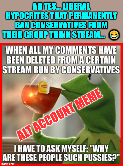 More liberal hypocrisy... | AH YES... LIBERAL HYPOCRITES THAT PERMANENTLY BAN CONSERVATIVES FROM THEIR GROUP THINK STREAM...  😂; ALT ACCOUNT MEME | image tagged in liberal hypocrisy | made w/ Imgflip meme maker