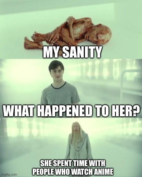 My sanity has disappeared | MY SANITY; WHAT HAPPENED TO HER? SHE SPENT TIME WITH PEOPLE WHO WATCH ANIME | image tagged in dead baby voldemort / what happened to him | made w/ Imgflip meme maker