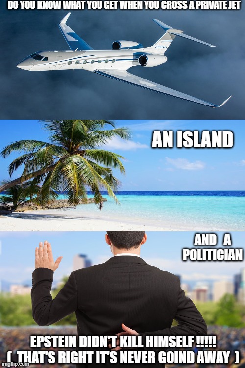 What do you get | DO YOU KNOW WHAT YOU GET WHEN YOU CROSS A PRIVATE JET; AN ISLAND; AND   A POLITICIAN; EPSTEIN DIDN'T KILL HIMSELF !!!!!
(  THAT'S RIGHT IT'S NEVER GOIND AWAY  ) | image tagged in memes,what do you get | made w/ Imgflip meme maker