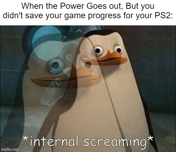 Now i have to start over all over again! | When the Power Goes out, But you didn't save your game progress for your PS2: | image tagged in private internal screaming,ps2,gaming,memes,funny,relatable memes | made w/ Imgflip meme maker