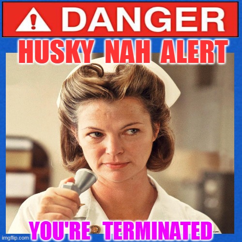 HUSKY  NAH  ALERT; YOU'RE   TERMINATED | made w/ Imgflip meme maker