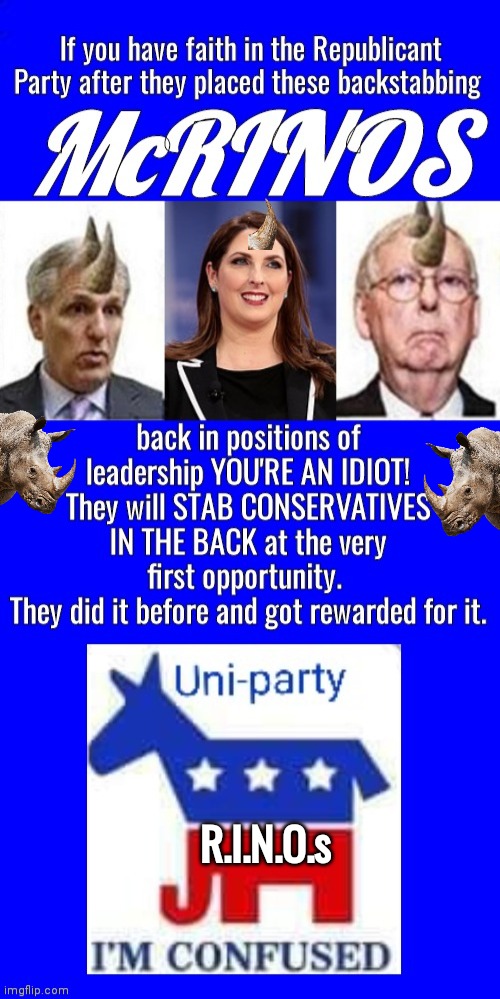 Uniparty McRINOs betray conservatives |  R.I.N.O.s | image tagged in mitch mcconnell | made w/ Imgflip meme maker