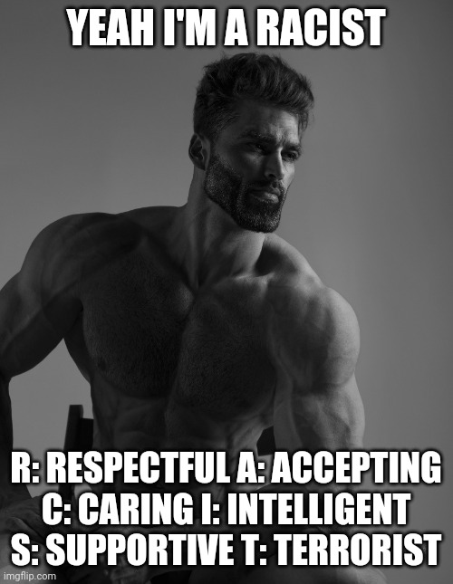 Definition of Racist | YEAH I'M A RACIST; R: RESPECTFUL A: ACCEPTING C: CARING I: INTELLIGENT S: SUPPORTIVE T: TERRORIST | image tagged in giga chad,dark humor | made w/ Imgflip meme maker