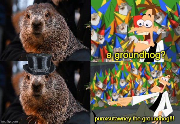 happy groundhog day | a groundhog? punxsutawney the groundhog!!! | image tagged in perry the platypus,phineas and ferb,punxsutawney phil,groundhog day | made w/ Imgflip meme maker