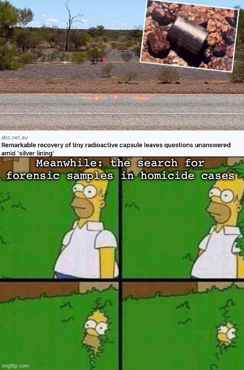 Meanwhile in Australia | Meanwhile: the search for forensic samples in homicide cases | image tagged in homer simpson in bush - large,nukes,caesar,contaminated,money | made w/ Imgflip meme maker