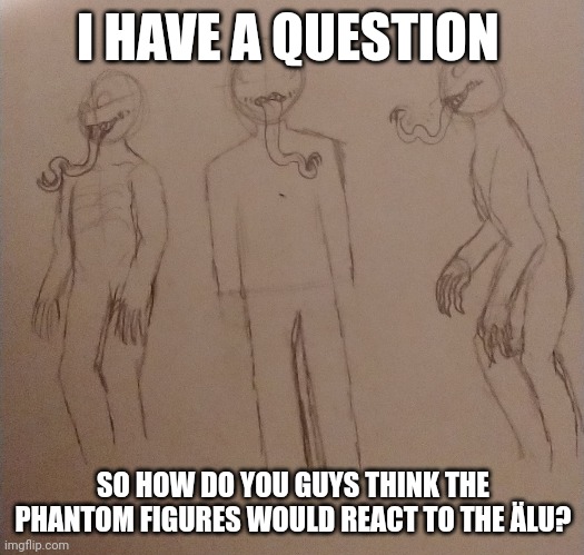 This is kinda a poll question idk I need ideas | I HAVE A QUESTION; SO HOW DO YOU GUYS THINK THE PHANTOM FIGURES WOULD REACT TO THE ÄLU? | image tagged in help | made w/ Imgflip meme maker