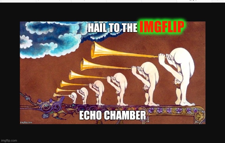 Hail to the leftest echo chamber | IMGFLIP | image tagged in hail to the leftest echo chamber | made w/ Imgflip meme maker