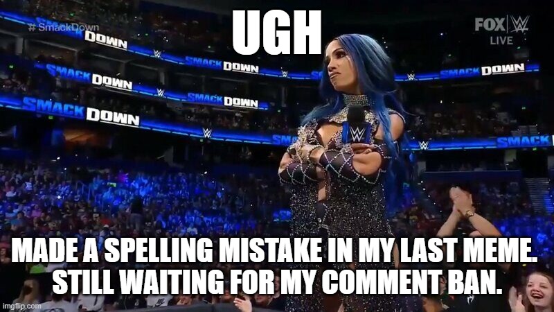 Sasha Banks Annoyed | UGH; MADE A SPELLING MISTAKE IN MY LAST MEME. 
STILL WAITING FOR MY COMMENT BAN. | image tagged in sasha banks annoyed | made w/ Imgflip meme maker