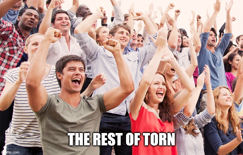 Crowd cheering | THE REST OF TORN | image tagged in crowd cheering | made w/ Imgflip meme maker