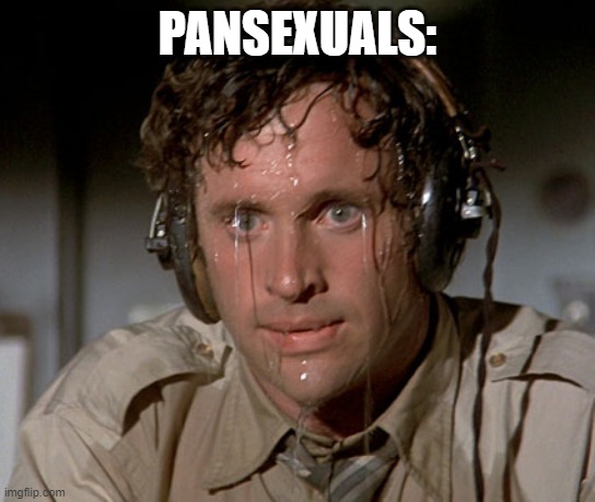 Sweating on commute after jiu-jitsu | PANSEXUALS: | image tagged in sweating on commute after jiu-jitsu | made w/ Imgflip meme maker