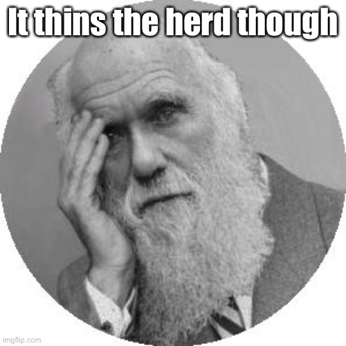 Darwin Facepalm | It thins the herd though | image tagged in darwin facepalm | made w/ Imgflip meme maker