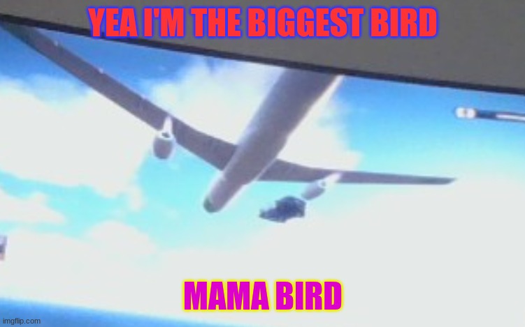 mama birdy | YEA I'M THE BIGGEST BIRD; MAMA BIRD | image tagged in funny memes | made w/ Imgflip meme maker