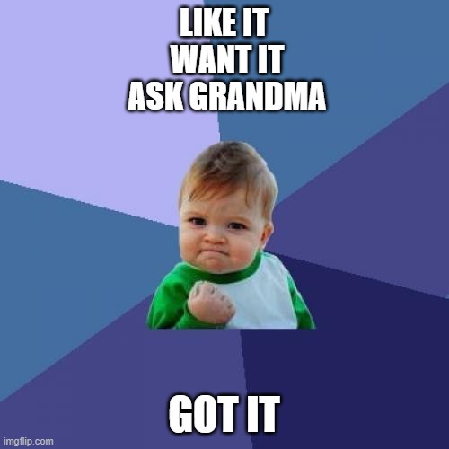 Success Kid | LIKE IT
 WANT IT
 ASK GRANDMA; GOT IT | image tagged in memes,success kid | made w/ Imgflip meme maker