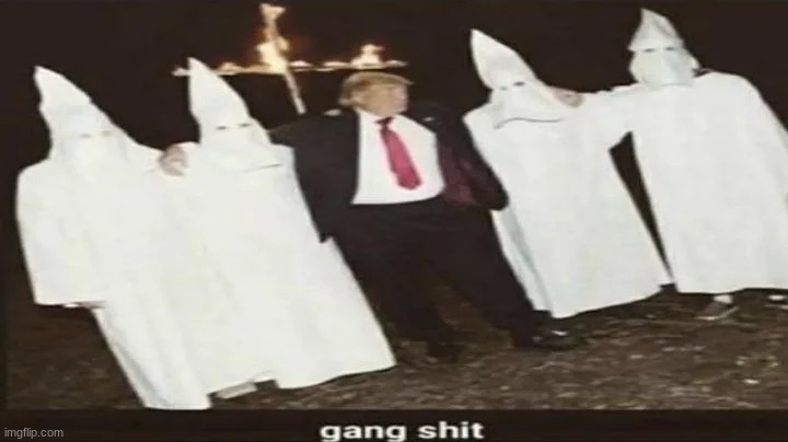 this is why i voted for him | made w/ Imgflip meme maker