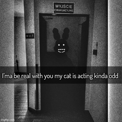 I'ma be real with you my cat is acting kinda odd | image tagged in shadowbonnie,fnaf | made w/ Imgflip meme maker