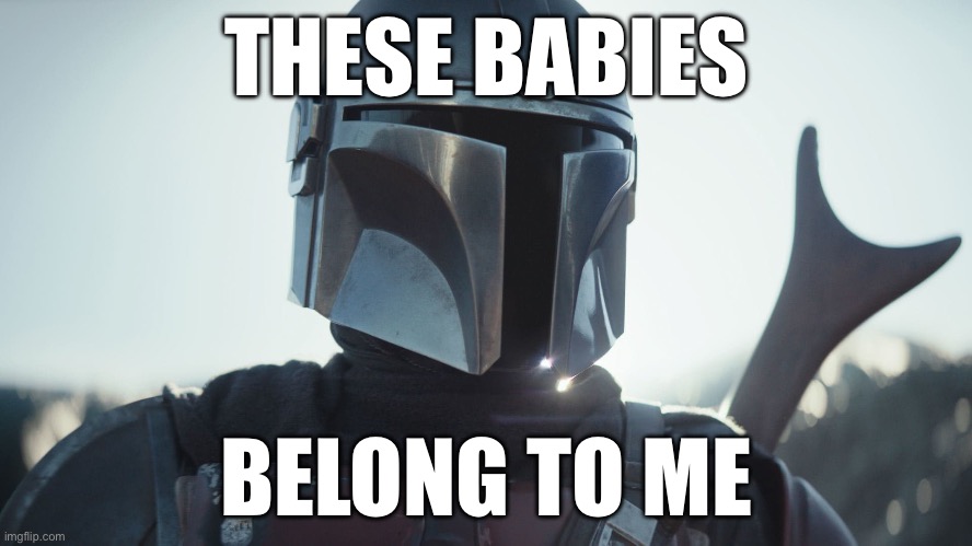 The Mandalorian. | THESE BABIES; BELONG TO ME | image tagged in the mandalorian | made w/ Imgflip meme maker