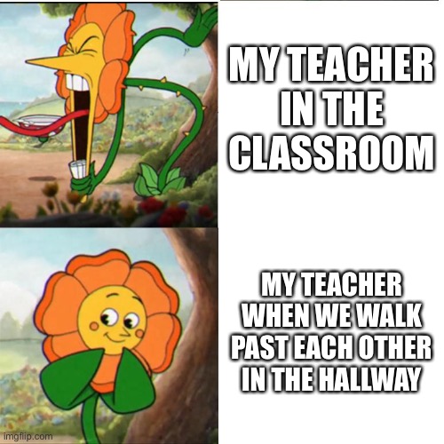 Cuphead Flower | MY TEACHER IN THE CLASSROOM; MY TEACHER WHEN WE WALK PAST EACH OTHER IN THE HALLWAY | image tagged in cuphead flower | made w/ Imgflip meme maker